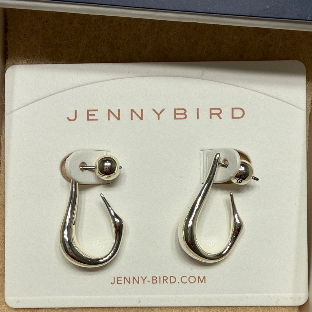 Jenny Bird Silver Drop Hook Earrings